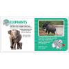 imageBaby Einstein In the JungleVideo Fun Board Book with Sound ampamp Action APP