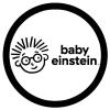 imageBaby Einstein Big and Little Chunky Lift a Flap Board Book An Opposites Book