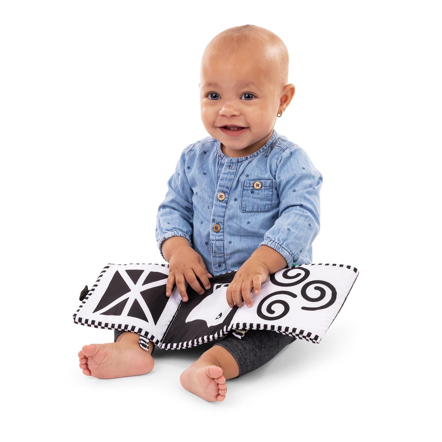 imageBaby Einstein Take Along Tunes Musical Toy Ages 3 months Counting at the Farm