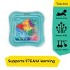 imageBaby Einstein Ocean Explorers Sensory Splash Water Mat for Tummy Time or Seated Play Ages 036 MonthsOcean Explorers