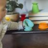 imageBaby Einstein Stack ampamp Squish Cups Infant to Toddler Collapsible Sensory Toys for Beach Bath Floor ampamp More 6pcs 3 Months