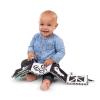imageBaby Einstein Take Along Tunes Musical Toy Ages 3 months Counting at the Farm