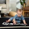 imageBaby Einstein Take Along Tunes Musical Toy Ages 3 months Counting at the Farm