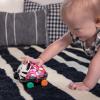 imageBaby Einstein Cal Bendy Ball Rattle Toy Ages 3 months Zen the Zebra