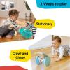 imageBaby Einstein Chase ampamp Tap Earl Crawling Baby Toy with Mirror and Music Ages 6 Months and UpChase  Tap Earl